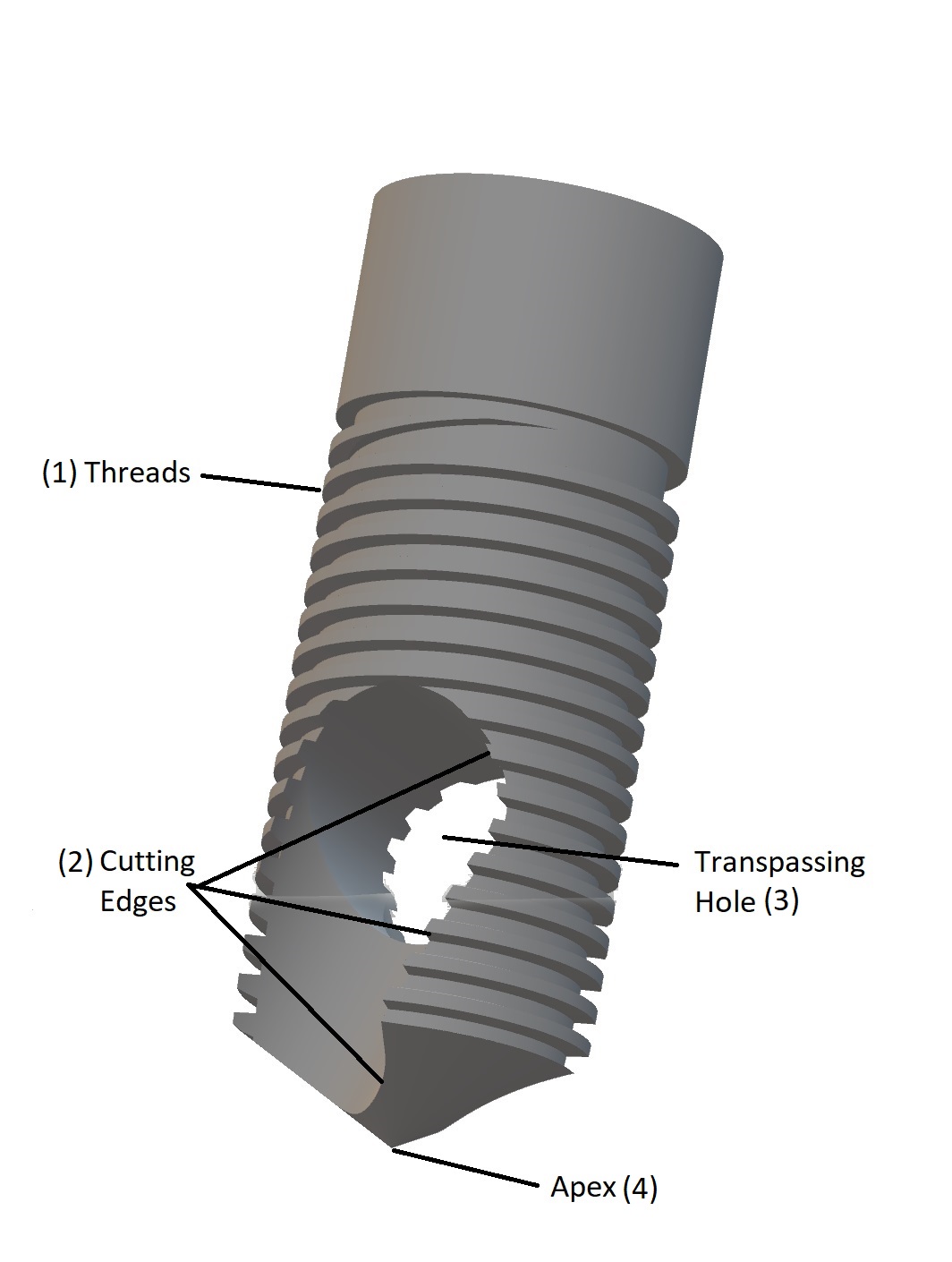 Reference diagram identifying BKS threads, cutting edges, transpassing hole and apex