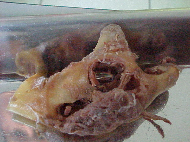 Second macroscopic view of the resected mandibular specimen supplied with the historical case
